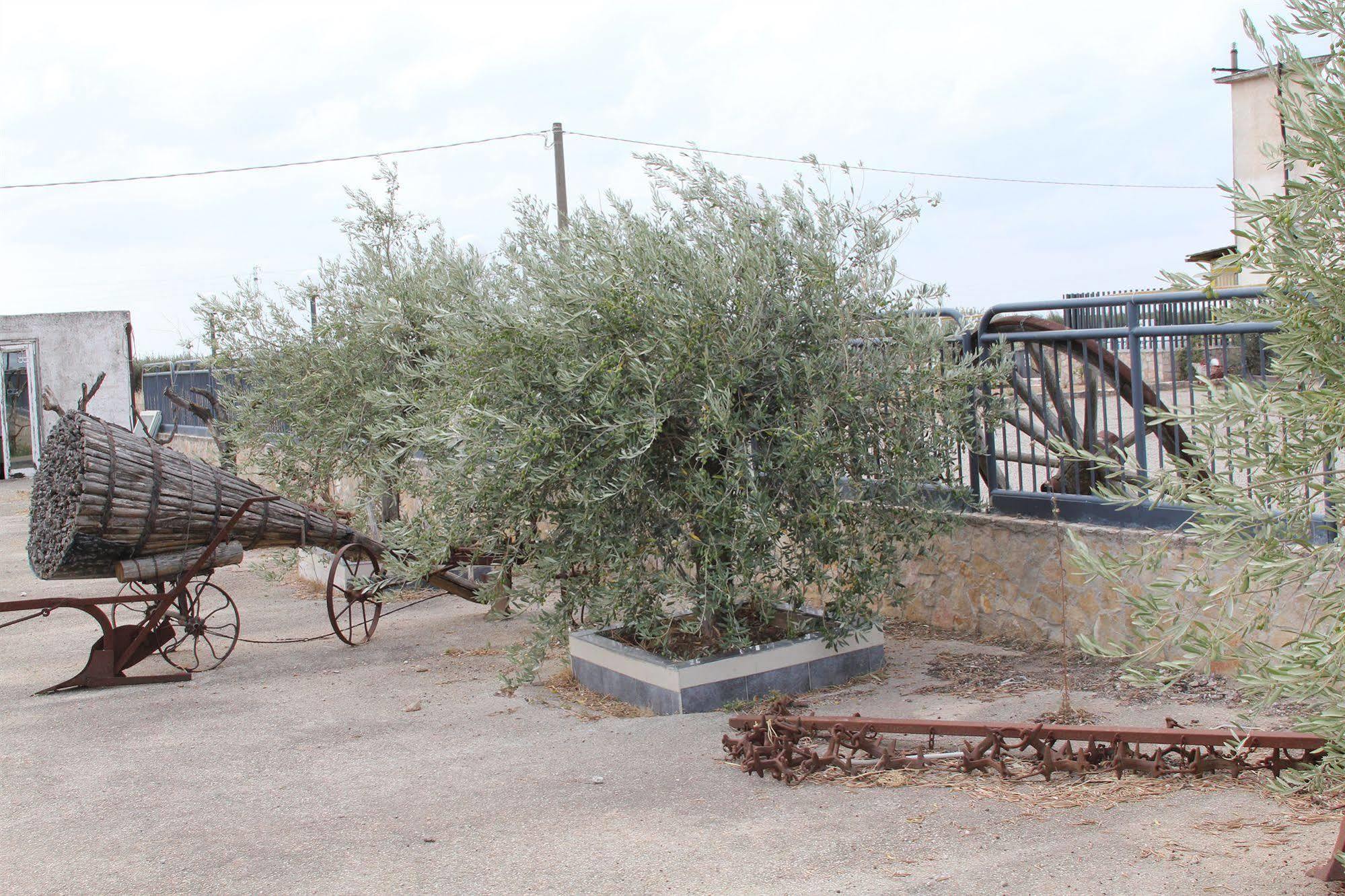 Vila Agriturismo Silos Agri San Severo Exteriér fotografie